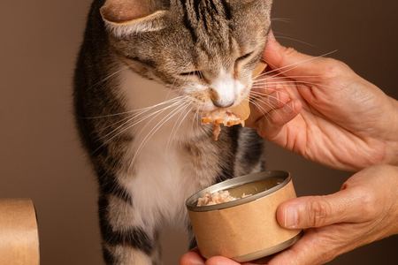 猫师兄助力科研项目快速成长